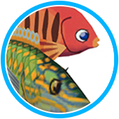 toアミー漁（トアミーギョ）