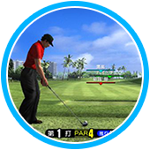 セガ ゴルフクラブ ネットワークプロツアー