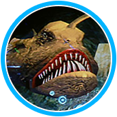 オーシャンハンター