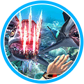 Let’s GO ISLAND 3D（レッツ ゴー アイランド 3D）