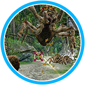 Let’s Go JUNGLE!（レッツ ゴー ジャングル！）