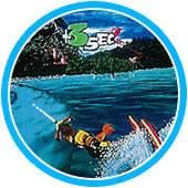 セガ ウォータースキー